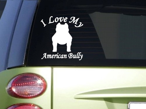Love bully j151 american - bully,