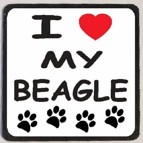Love beagle refrigerator - my,